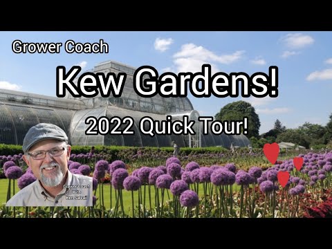 Capa de Kew Gardens the quick tour!
