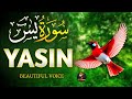 Surah Yaseen (Yasin) سورة يس | Powerful Healing Recitation for Stress, Depression &amp; Anxiety Relief 