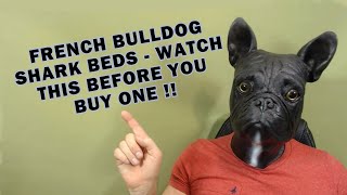 shark dog bed french bulldog