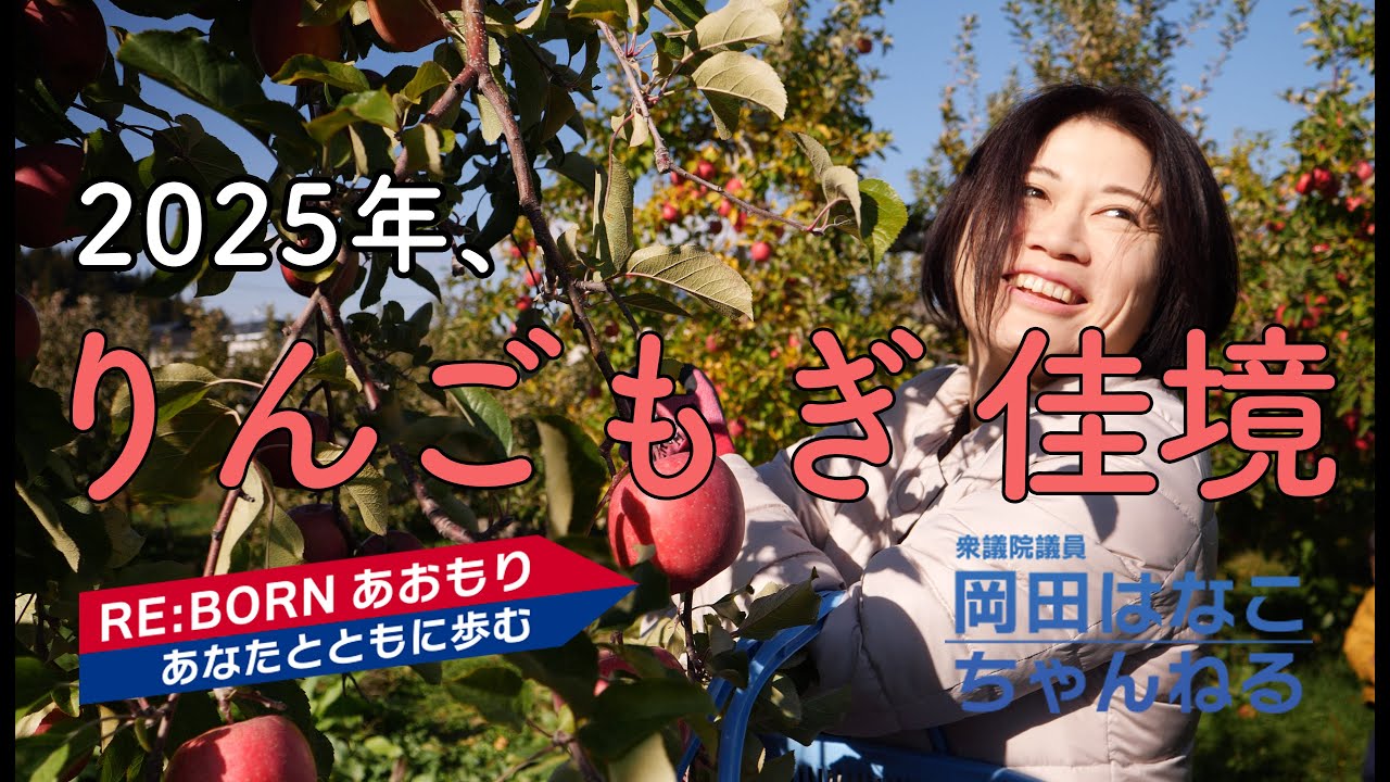 2025年、りんごもぎ佳境の現場へ
