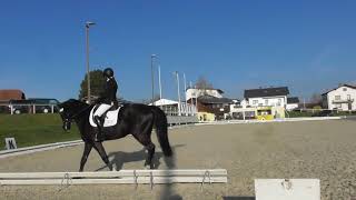 Altenfelden 2019 Teamaufgabe