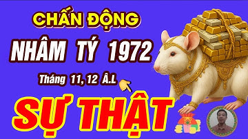 Sự Thật tử vi tháng 11 và Tháng 12 âm lịch 2025 Tuổi NHÂM TÝ 1972 BÃO LỘC TRÀN VỀ GIÀU HƠN TỶ PHÚ
