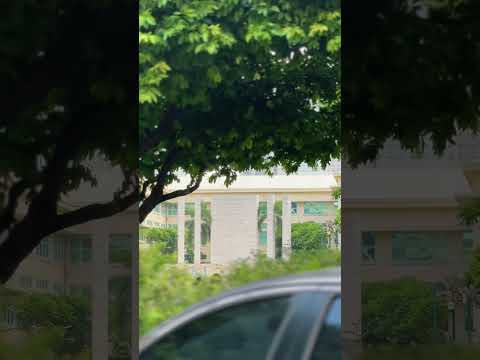 Feels Like We Never Left Right FEU InThyHappyHalls