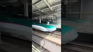東北新幹線E5系U10編成+E3系2000番台L69編成出発シーン