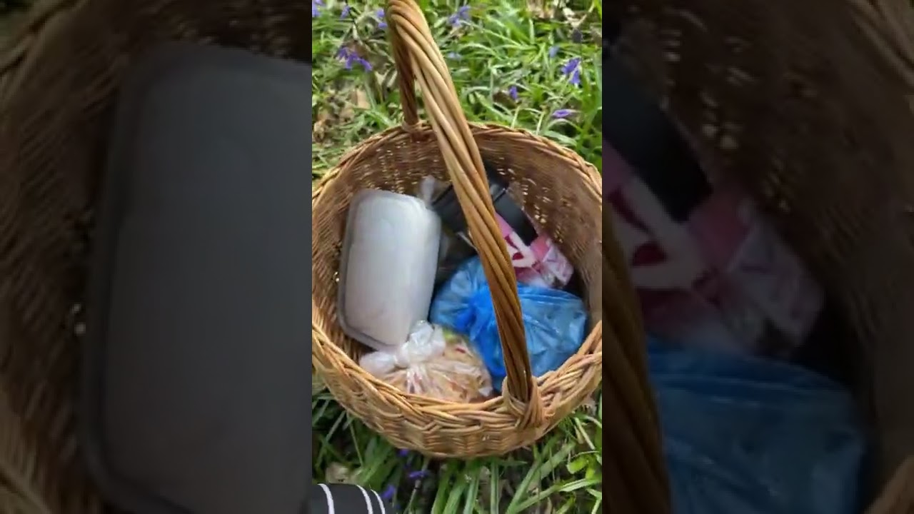 Bluebell at May hill 26/04/2022