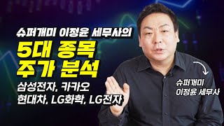 슈퍼개미 이정윤 세무사의 주식투자 5대 종목 분석 (삼성전자, 카카오, 현대차, LG화학, LG전자, 재테크)
