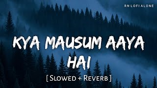 Kya Mausam Aaya Hai Lofi Slowed Reverb Udit Narayan, Sadhana Sargam Rn Lofi Alone