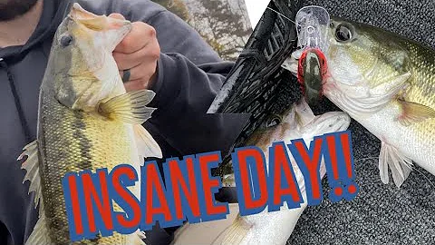 Huge PB Spotted Bass! + A Double Catch