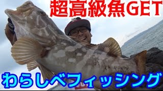 アジを泳がせて幻の高級魚に変えよう！