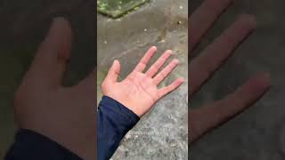 Barrish me bachke rahi#iitjee #rushikale #minivlog #iitbombay #campuslife #engineering 🥶