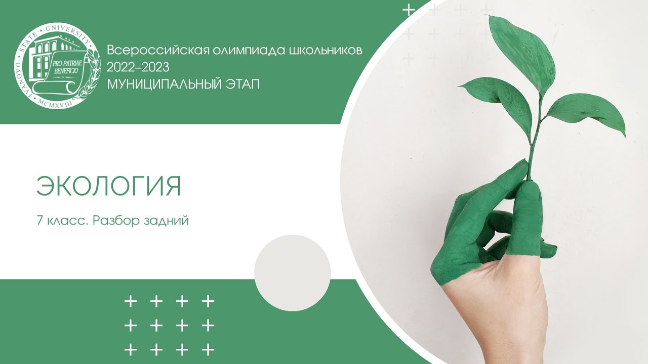 Отчет экология 2023. Всероссийские уроки по экологии 2023. Региональный этап по экологии. Год экологии 2023 логотип. Заключительный этап ВСОШ по экологии 2023.
