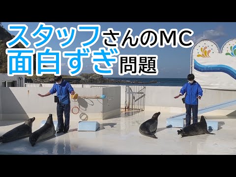 【スタッフさんも最高】おたる水族館 アザラシショー【字幕推奨】