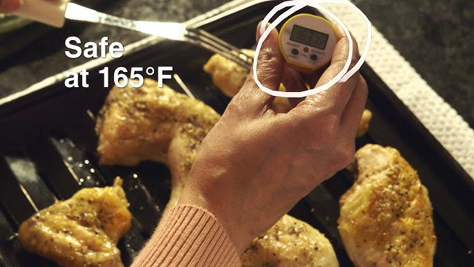 Can You Leave A Meat Thermometer In The Meat While It's Cooking? - Kitchen  Seer