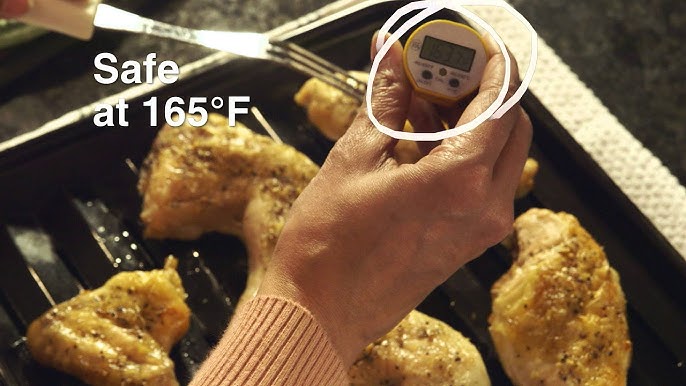 How to Use a Meat Thermometer for Beginners