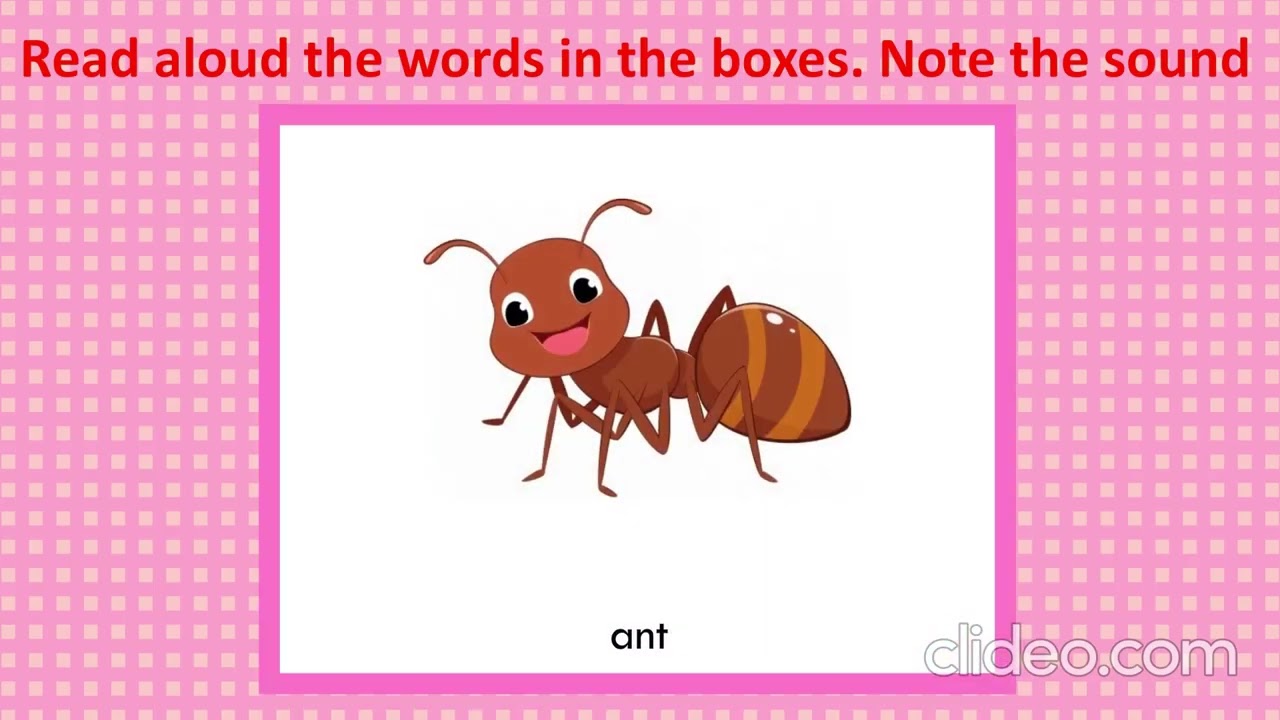 LKG Phonics 2 | Letter Sounds, Blending, CVC Words | Early Reading Skills | Prime School