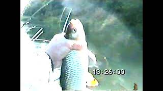 Ретро Рыбалка Осень 2006 Года.горы Рыбы На Боковой Кивок.