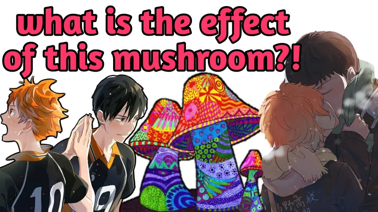 Haikyuu!! Текст || Кагехина и волшебный гриб