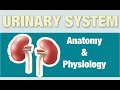 ANATOMY & PHYSIOLOGY URINARY SYSTEM | GPAT-2020 | PHARMACIST EXAM | RAILWAY PHARMACIST