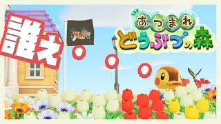 【あつまれどうぶつの森】今回の賭け金は3000万ベル　レッツカブ！【ベルモンド・バンデラス/にじさんじ】