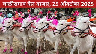 अनवर शेठ यांच्या दावणीतील 1 नंबर सौदेबाजी 😱 चाळीसगाव बैल बाजार, दिनांक- 25 ऑक्टोंबर 2025 🥰 #बैलखरेदी