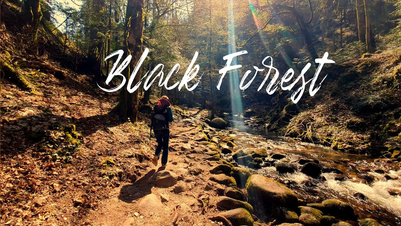 Geroldsauer Wasserfall | Waterfall in Black Forest | Schwarzwald