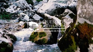 Quesería El Duje - Nuestros Queseros: Oficio Artesano y Tradicional