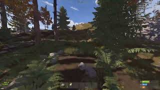 Rust Cheater Facepunch Eu 2