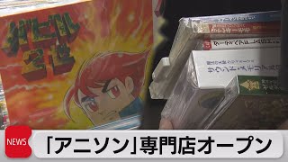 アニソン・ゲーム曲 CDジャンク詰め合わせ mqdefault.jpg