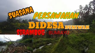 KEINDAHAN ALAM DIDESA BUNIWAH KECAMATAN SIRAMBOG | BUMIAYU - BREBES