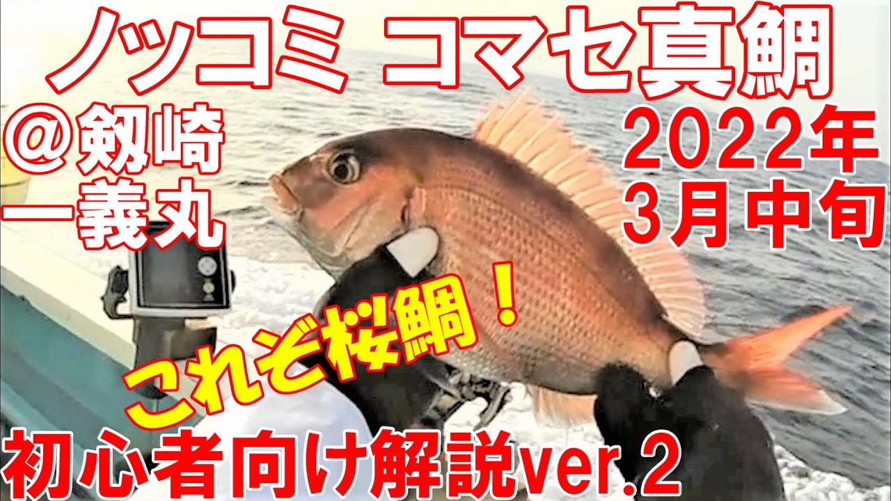 初心者向け解説v2 ノッコミ コマセ真鯛釣り22年3月中旬 剱崎 剣崎 一義丸 Youtube