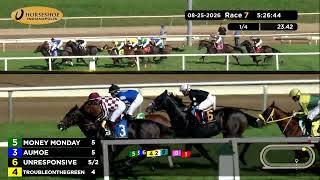 Vidéo de la course PMU MAIDEN SPECIAL WEIGHT