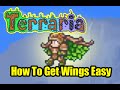 How To Get Wings In Terraria