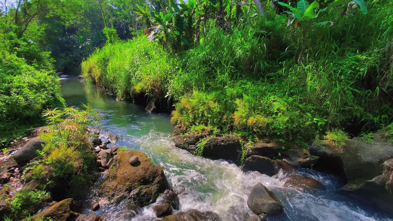 Calming River Sounds – 10 Hours of Natural ASMR for Focus & Anxiety Calm