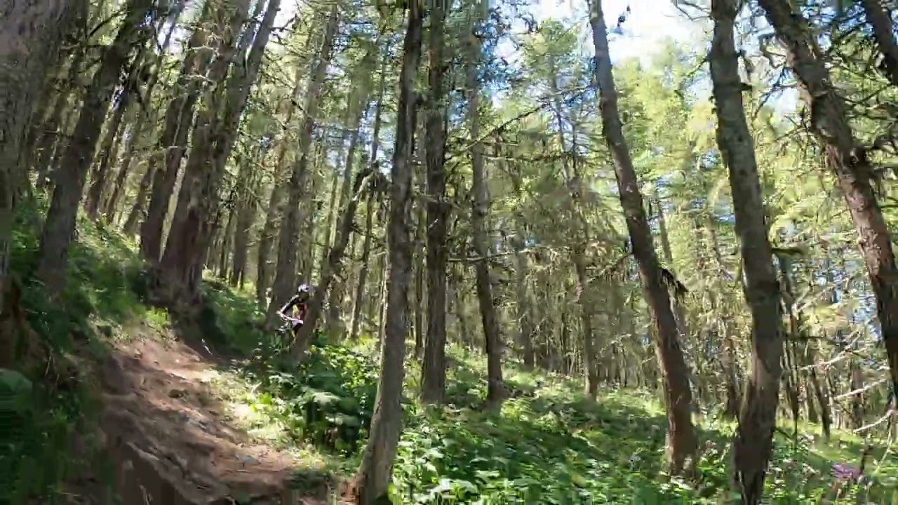 Briancon, Day 5, La Grave 16   Forest   31 07 2025