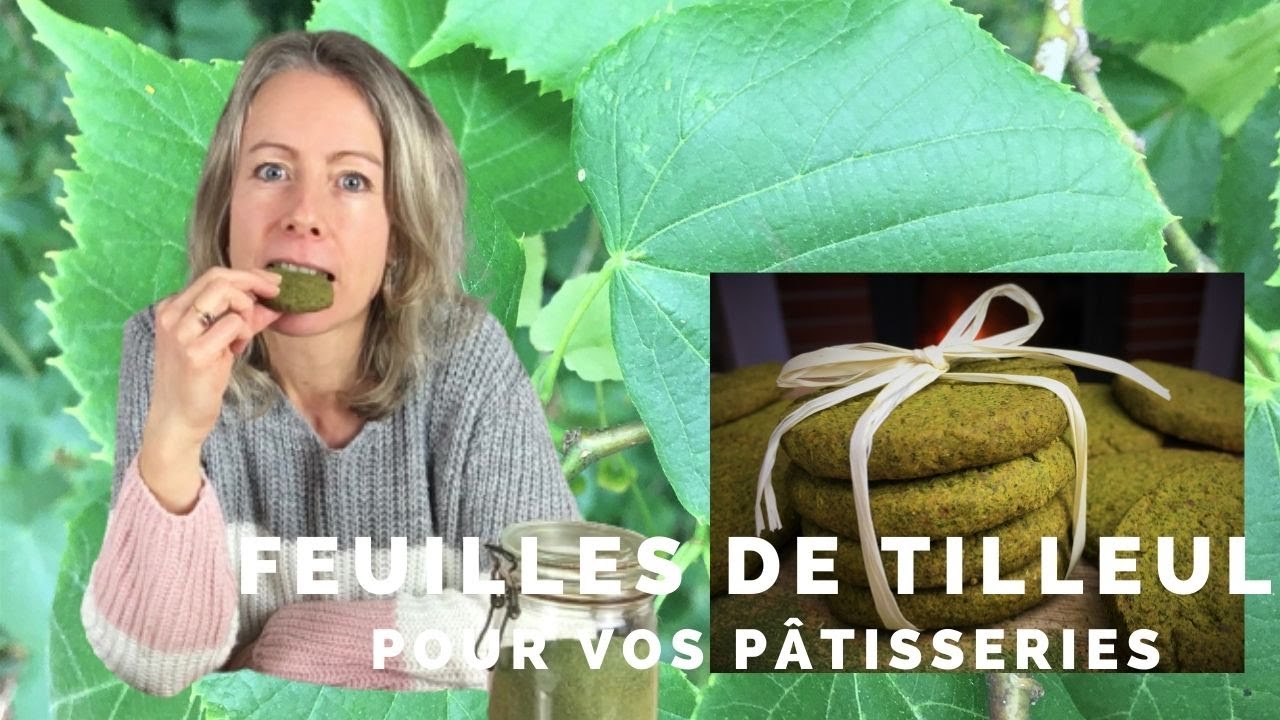 Les feuilles de tilleul pour vos pâtisseries 