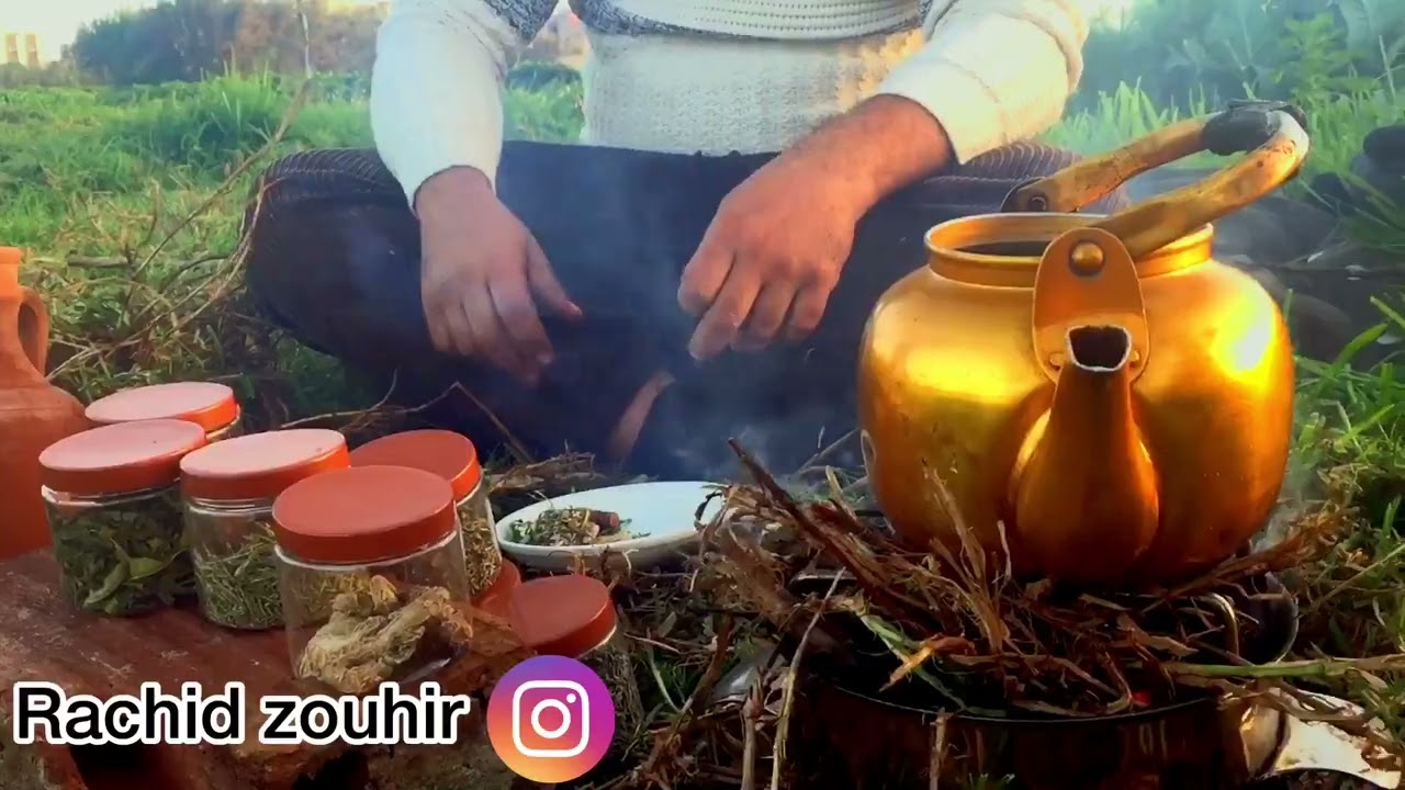 براد اتاي  معشب في طبيعة مع شاف رشيد (2022)