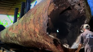 20 Tense Seconds of Cuckoo's Nest Destroyed at Sawmill screenshot 4