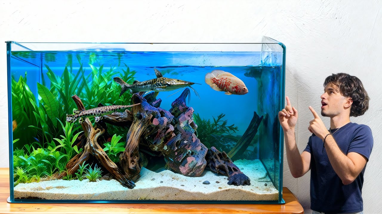 Я наконец-то купила свой САМЫЙ БОЛЬШОЙ аквариум… Это было НЕВЕРОЯТНО!!