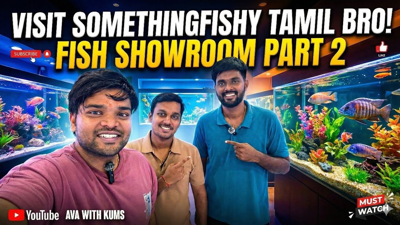 Kolathur Sunday No Market!Visit SomethingFishyTamil Showroom#youtubevideo #viralvideo #youtuber 