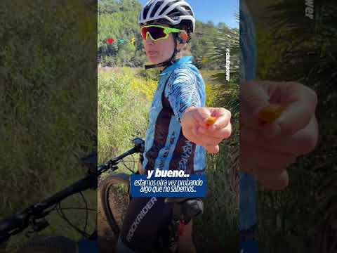 esto sabe a coco??? Sari se pasa probando frutitas en el bosque  #mtb #ciclismo  #aventuras