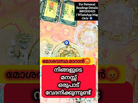 🥺✨ ഇനി എന്താണ് സംഭവിക്കാൻ പോകുന്നത്? 🔮#tarot #malayalamtarot#tarotreading #tarotreadingmalayalam