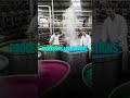 Technical Naphthalene Market Growth Explained | $1.28B Outlook by 2032