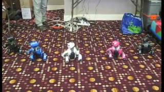 Aibo Addicts meet Aug 09 by Aibo Addicts 23,623 views 14 years ago 5 minutes, 24 seconds