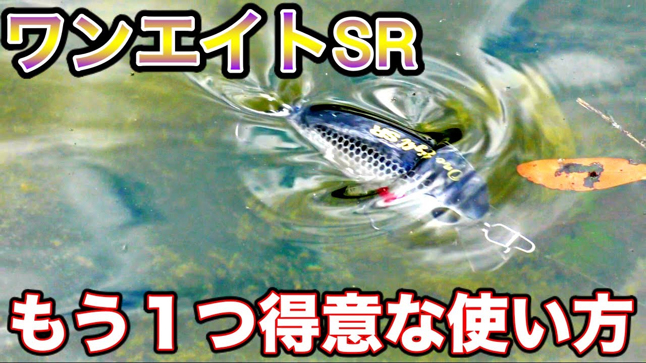 PAY FORWARD/ペイフォワード ONE EIGHT/ワンエイト (SR、MR) | B