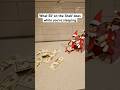 Don’t hate the player hate the game. #relatable #elfontheshelf #funny #comedy