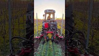 Master the Fields: Slash Weeds &amp; Boost Agriculture with Inter-Row Mulching Cutting Techniques!