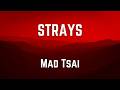 STRAYS Mad Tsai LYRICS
