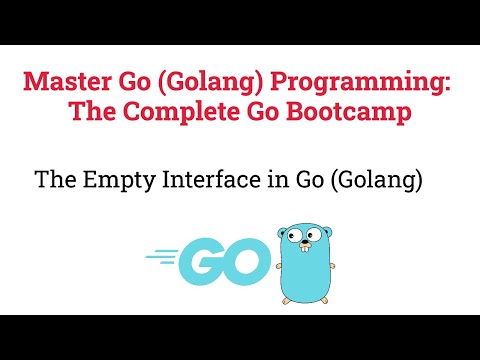 The Empty Interface in Go (Golang)