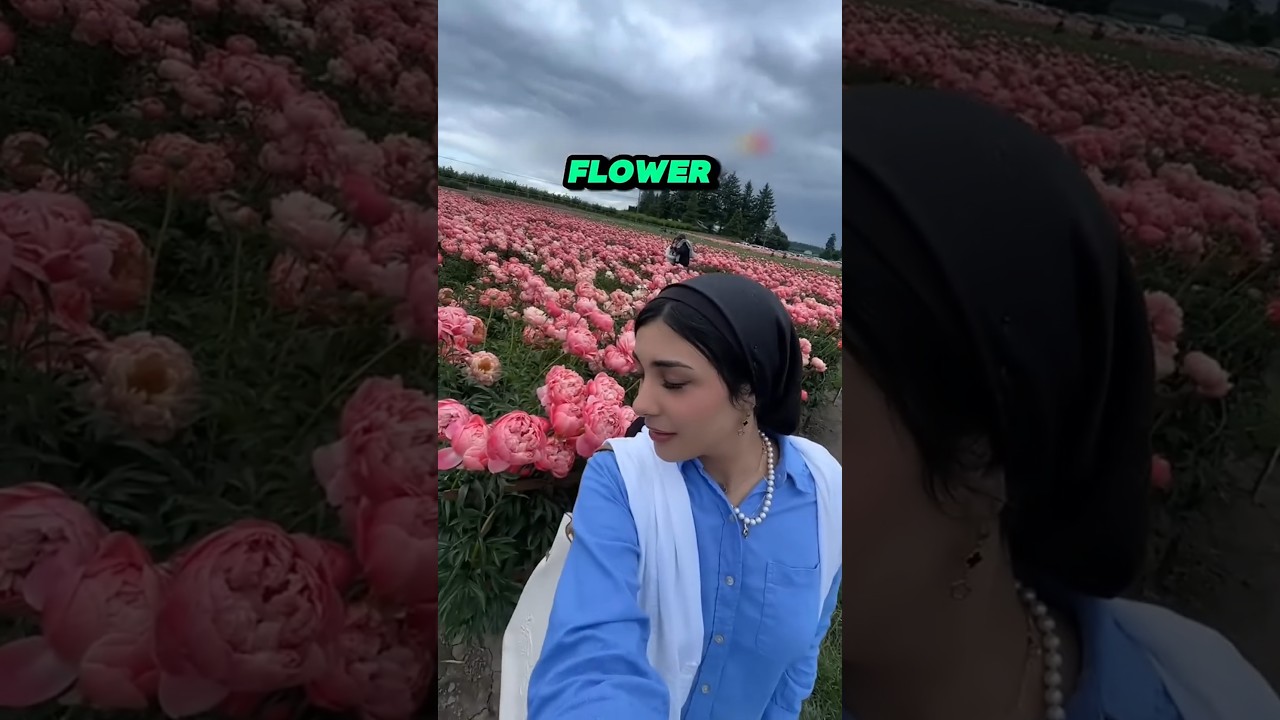 SMELLS LIKE AHH! 🍑 (@randa.rosa)