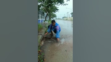 This Culvert Drain Full Clogged By Leaves #unclog #remove #drain #rainwater #shorts